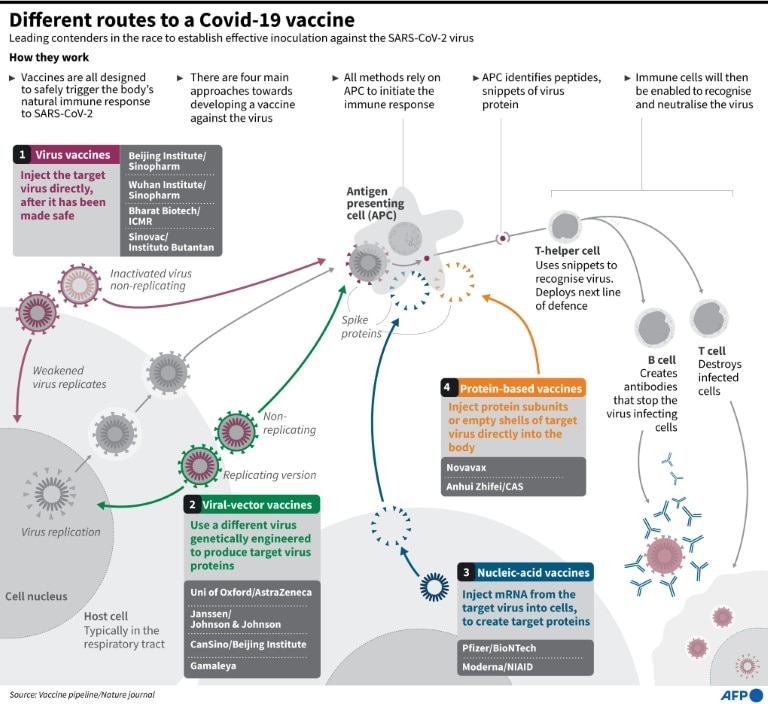 Katalin Kariko, scientific maverick who paved way for mRNA vaccines ...