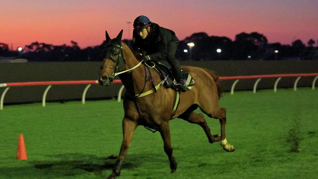 James McDonald rides Nature Strip during a trackwork session at Rosehill ahead of Saturday’s Everest. Picture: Getty Images