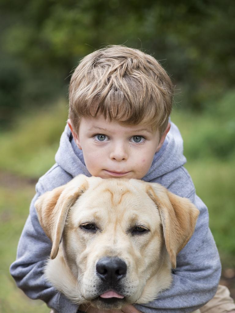 Max with Buddy the Labradore on the farm at Jindivick. Picture: Zoe Phillips