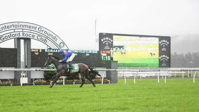 The John O'Shea trained Breeders Plate placegetter Physical Graffiti scores a dominant win at Gosford at his second race start. Picture: Bradley Photos