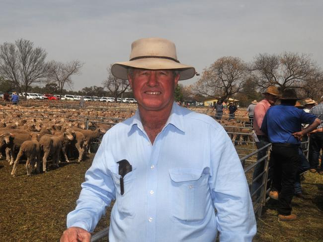 Hot property: Greg Rogers of Yarto at Booligal sold the top-priced pen of ewes for $358. Picture: James Wagstaff