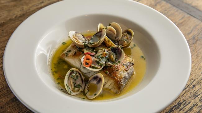 Barramundi strewn with pipis at Pitchfork. Picture: Mark Cranitch.