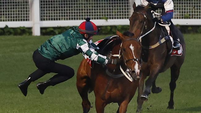 NCA. MELBOURNE, AUSTRALIA. October 21, 2024. RACING.  Mooney Valley Breakfast with the Best track gallops.  Jockey James McDonald is unseated while riding the Chris Waller trained Via Sistina  during a track work session at Moonee Valley this morning .  Pic : Michael Klein