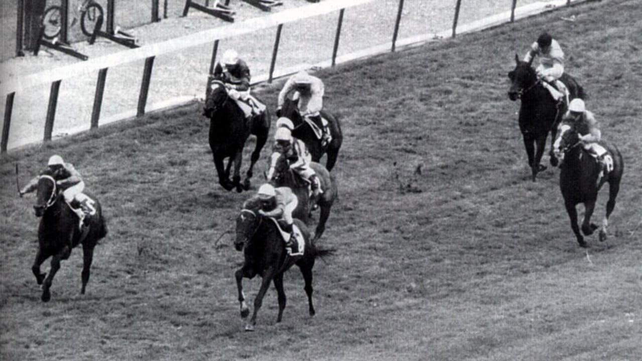 1984 : Australian racehorse Strawberry Road (L) overtaken by eventual winner Sadace in 1984 Prix de L'Arc de Triomphe at Longchamp in Paris. BLACK & WHITE IMAGE. Turf A/CT