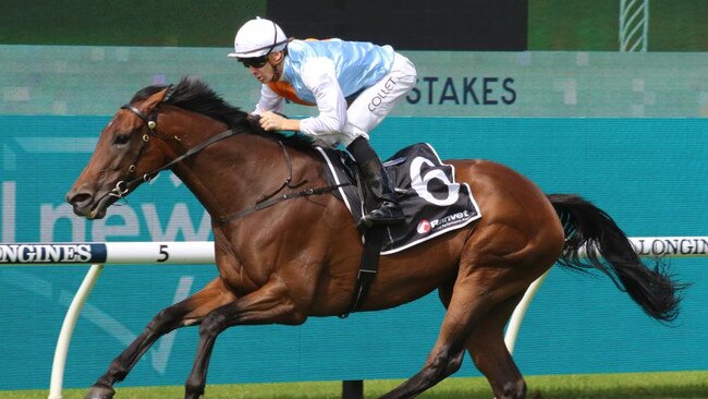 Montefilia can run a cheeky race at her first start for new connections in the Group 1 Winx Stakes. Picture: Grant Guy