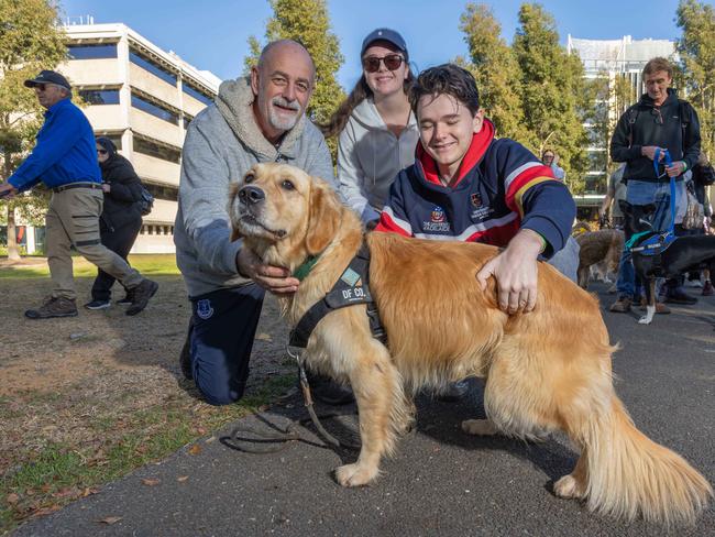 RSPCA SA's Million Paws Walk in Adelaide on May 25, 2025. Picture: Ben Clark