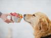 Truth about huge pet food trend