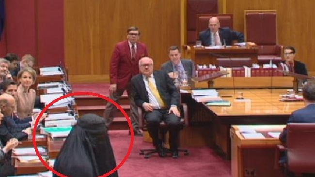 Pauline Hanson wearing a burqa while a bemused George Brandis looks on