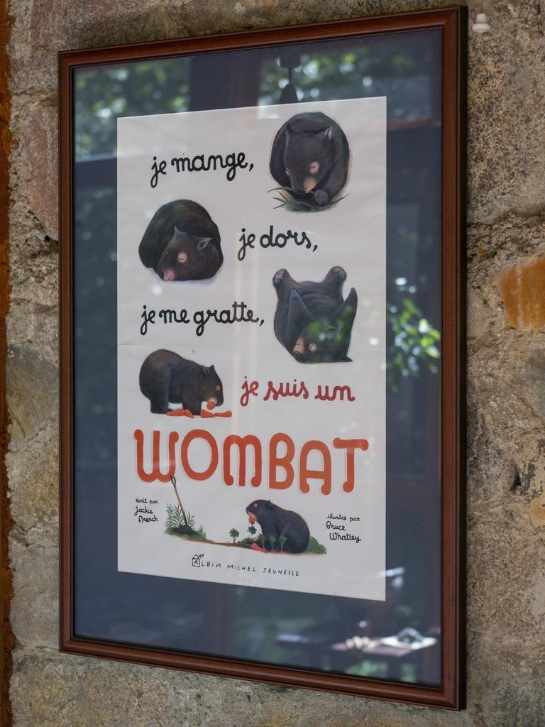 Diary of a Wombat cover in French. Picture: Martin Ollman