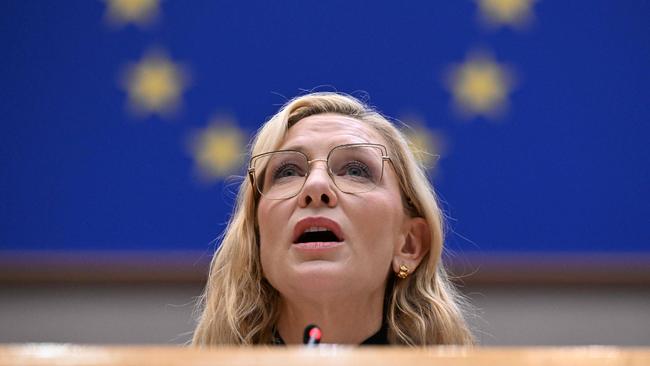 Australian actress and UNHCR goodwill ambassador Cate Blanchett addresses the European Parliament this month. Picture: John Thys/AFP