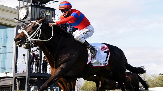 Verry Elleegant, ridden by Mark Zahra, takes out the Caulfield Cup.