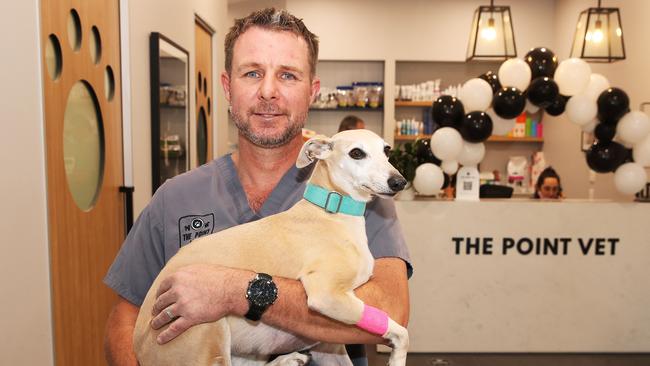 Dr John Rigley with Jemima the Whippet at his Paradise Point practice. Picture Glenn Hampson