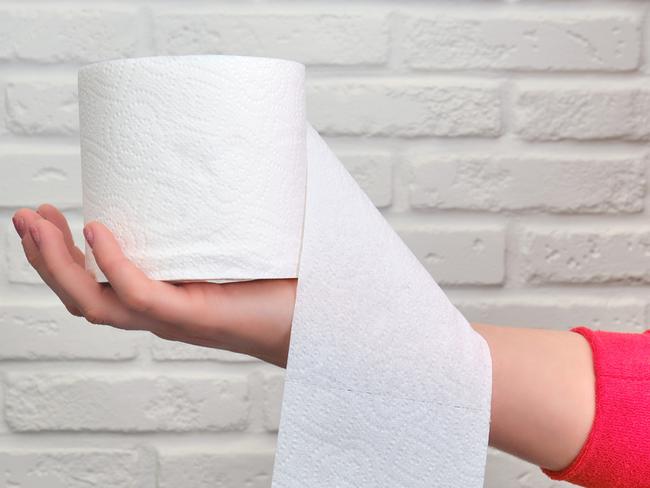 A woman holds a roll of toilet paper at arm's length, white background of a brick wall