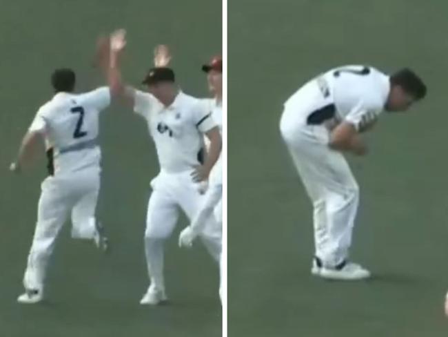 No cricket fan wants to see this. Photo: Fox Sports
