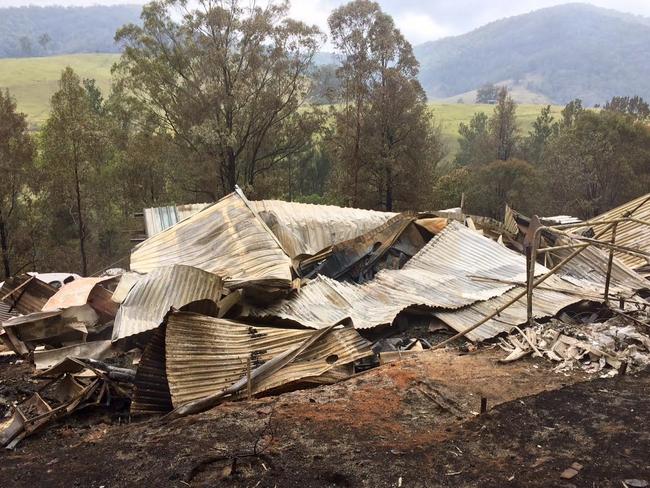 Nsw Bushfires: Pappinbarra Rd Bushfire Victim Crowdfunds To Save Horses 