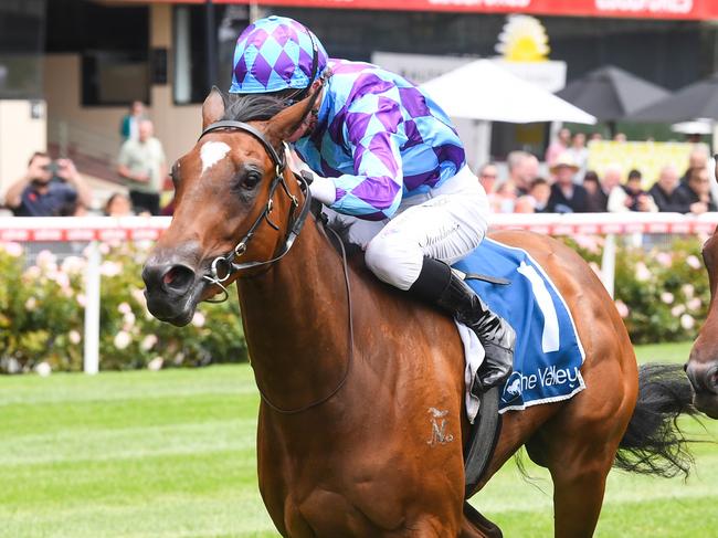 Jenni's Meadow ridden by Daniel Stackhouse wins the Young Members Cocktail Party 2 Feb Handicap at Moonee Valley Racecourse on December 30, 2023 in Moonee Ponds, Australia. (Photo by Pat Scala/Racing Photos via Getty Images)