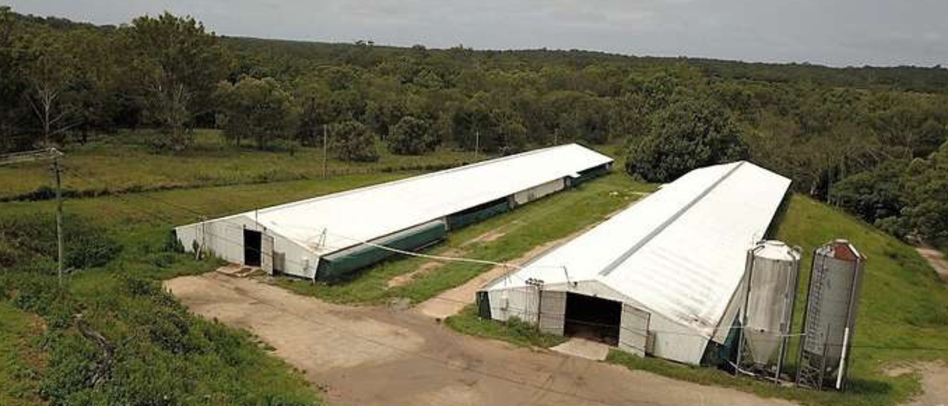 Tricare seniors living resort Rochedale: Steggle’s hatchery chicken ...