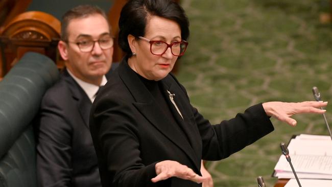 Attorney-General Vickie Chapman speaking during Question Time. Picture: NCA NewsWire / Naomi Jellicoe