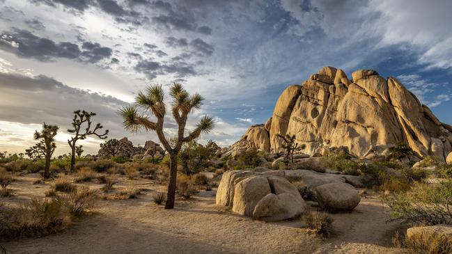 Joshua Tree National Park is a magnet for UFO spotters.