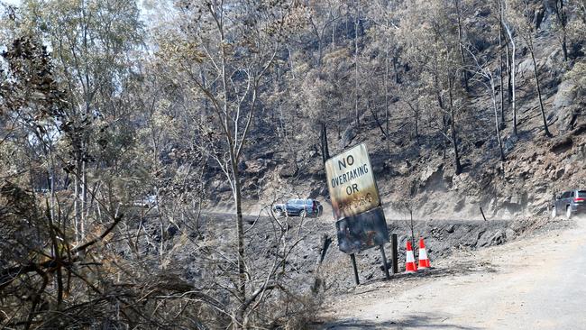 The charred landscape after the fire which destroyed 11 houses and Binna Burra Lodge.