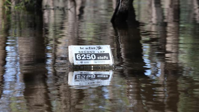 The Berri walking trail sign is nearly underwater. Picture Dean Martin