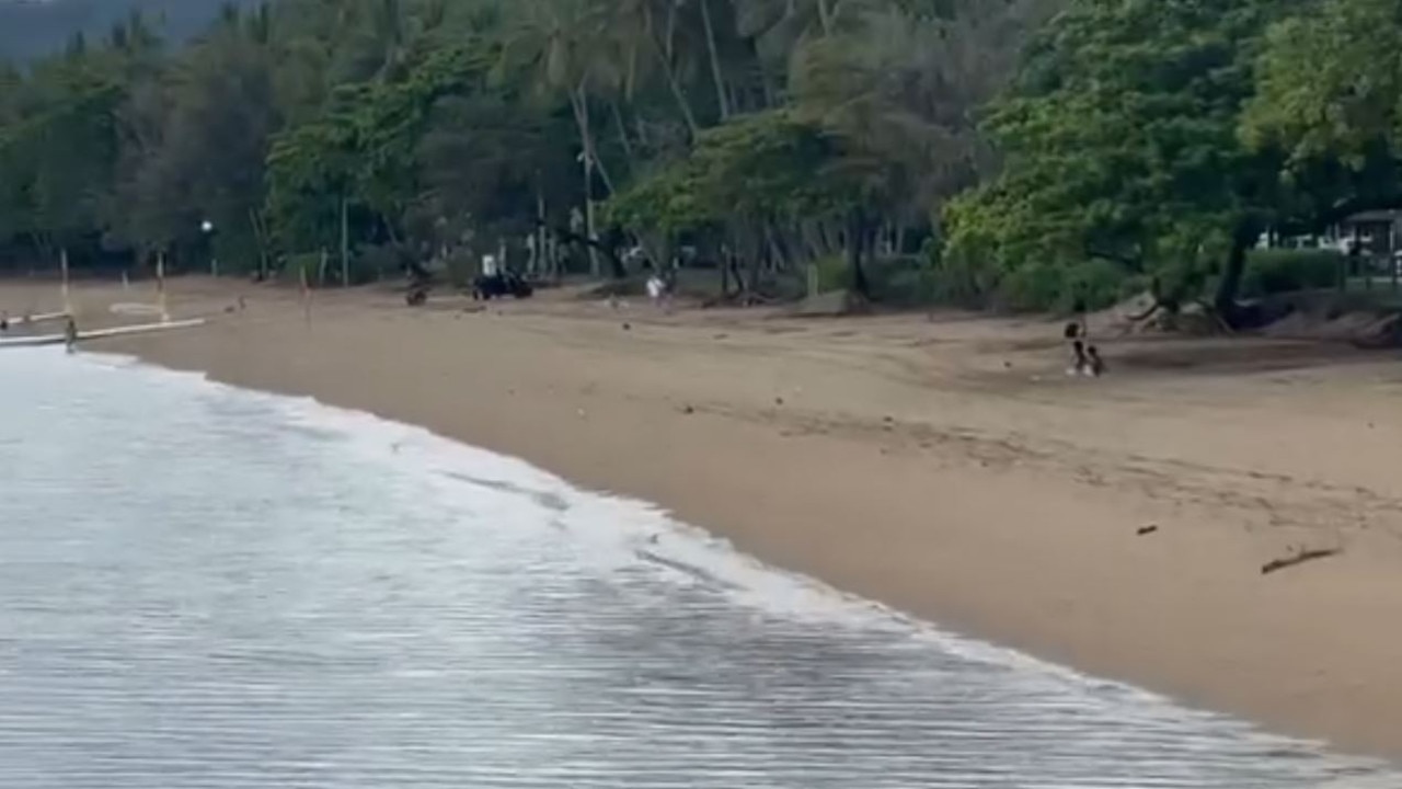 A beach goer sits unaware while a crocodile spotted near popular tourist beach in Palm Cove. Picture: Supplied.