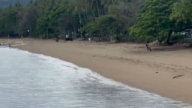 A beach goer sits unaware while a crocodile spotted near popular tourist beach in Palm Cove. Picture: Supplied.