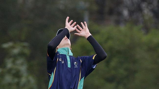 Caleb Walker takes a catch. Picture: John Appleyard