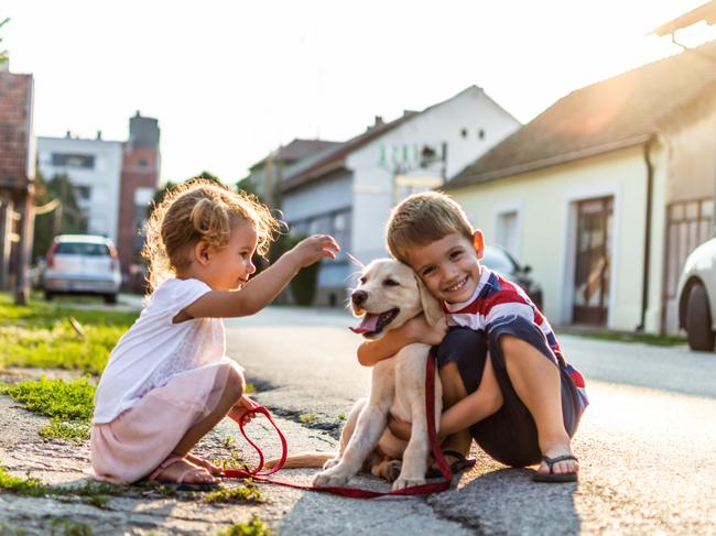 Expect to shoulder most of the pet caring responsibility until your children are old enough to help. Picture: iStock