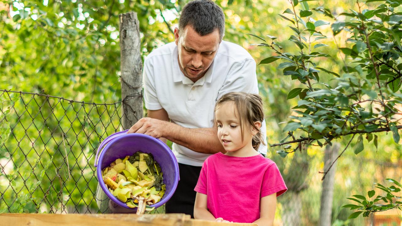 Composting is not only good for the environment, but good for our wallets.