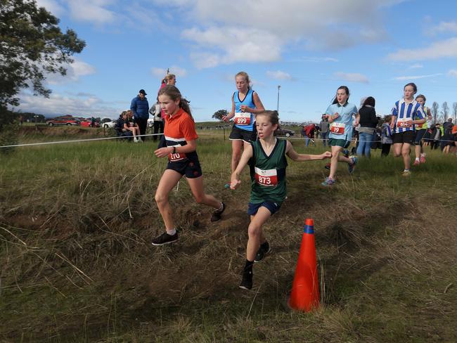 Tasmanian All Schools Cross Country | News.com.au — Australia’s Leading ...