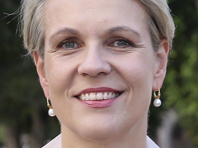 Labour deputy leader Tanya Plibersek, at home, in Rosebery, today.Picture: Justin Lloyd.