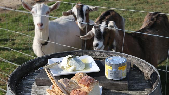 Yarra Valley Dairy, also enjoyed by goats. Picture: Yuri Kouzmin.