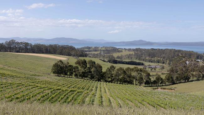 The couple run beef cattle and operate a vineyard on their farm. Picture: Nick Green