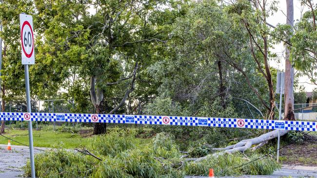 Trains and traffic are suspended through Woodridge due to fallen trees. Picture: Richard Walker