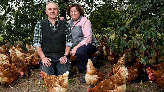 Eva and Janos Barabas are closing their Nirvana egg farm after 25 years. Picture: Penny Stephens