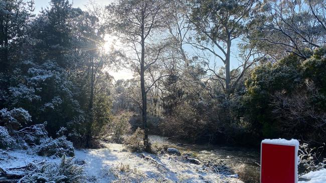 Snow fell to extremely low levels in Burns Creek, east of Launceston on 04/08/2020. Photo: Adam Blake