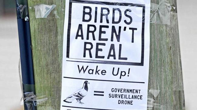 OPEN YOUR EYES: This "Birds aren't real” sign recently appeared on a pole in Louisa St. Picture: Troy Jegers