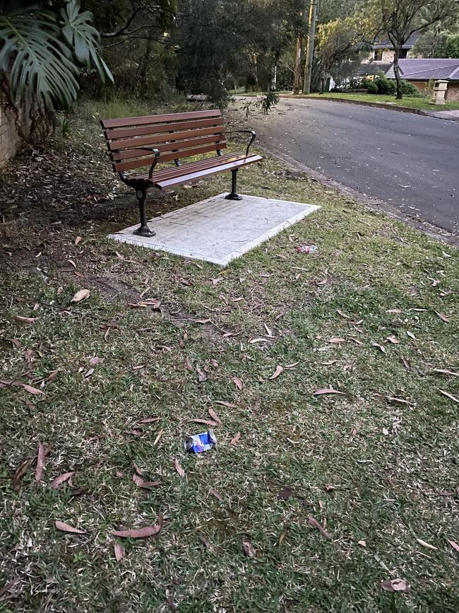 A photo of the bench.