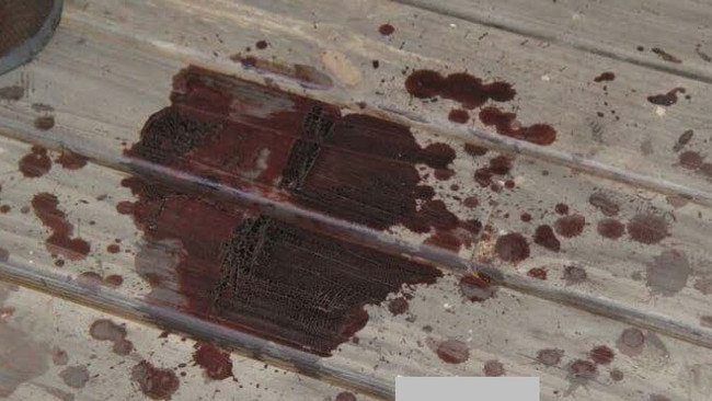 A blood-soaked crime scene tagged ‘No DNA detected’.