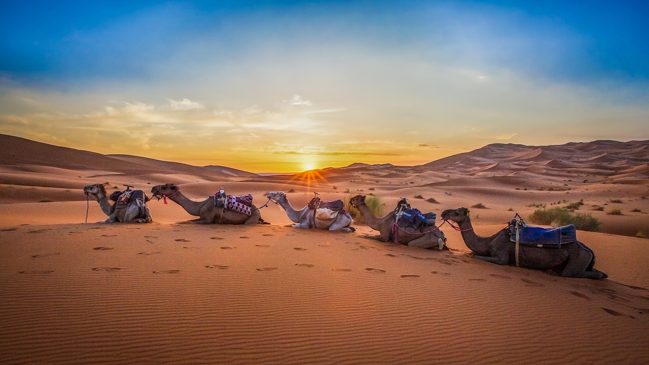 Be a VIP on this private tour of Morocco. Picture: iStock