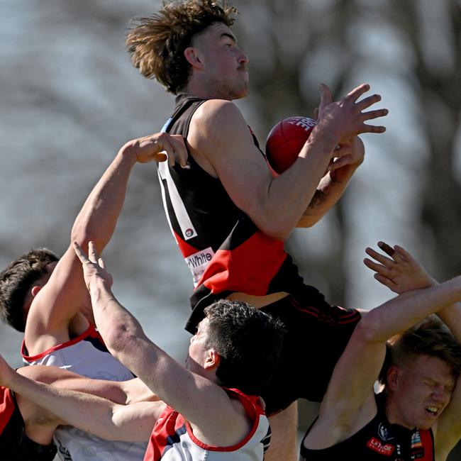 Eltham’s Finnbar Maley soars. Picture: Andy Brownbill