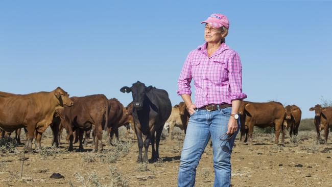 Queensland graziers go hi-tech in bid to slash costs | The Courier Mail