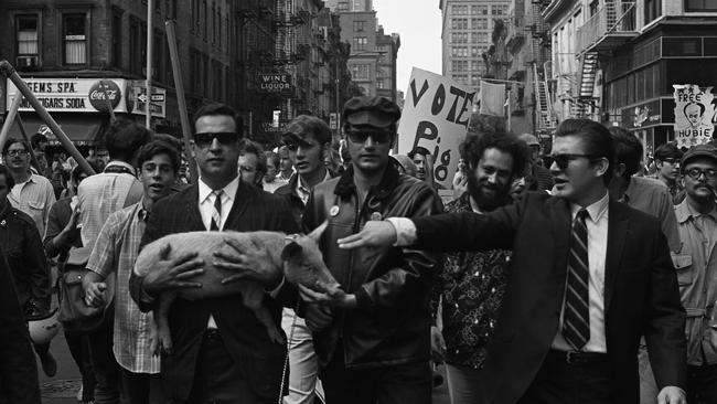 Yippies, along with their candidate for the presidency, Pigasus, march along in New York in 1968. Picture: Getty