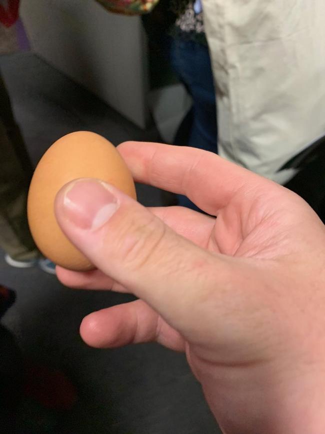 One tough egg. Picture: Dan Conifer / Twitter