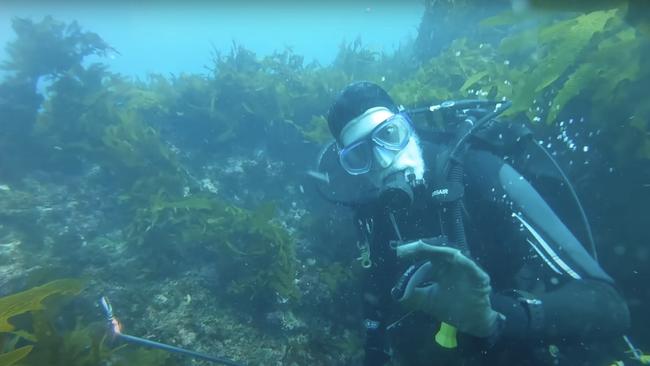 Diver Andy Nelson was looking for crayfish inside a cave oblivious to the fact a 4m great white shark had been circling his mate Tim Ryan for five minutes. Picture: Supplied.