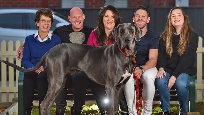 A true family of the future: Shona Glebatsas, Anthony McDonough, Jane Hope, Chris Glebatsas, Grace McDonough and dog Spartacus. Picture: Tony Gough