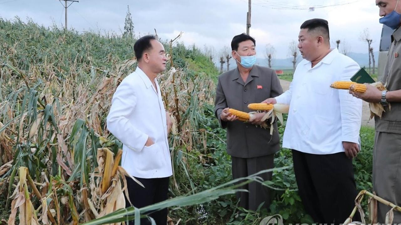 North Korean dictator Kim Jong-un reportedly visited a farm this week to inspect typhoon damage. KCNA/Yonhap