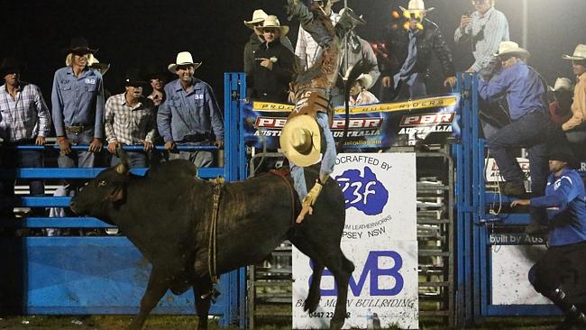 Bull rider Jared Farley meets his match in arena after taking out PBR ...