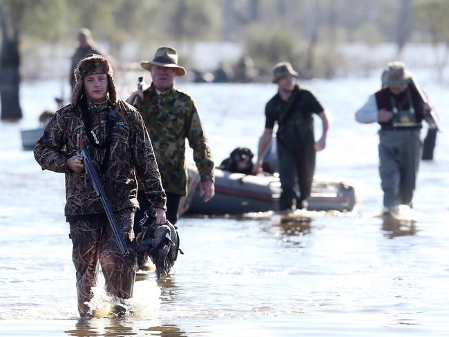 A survey found nine out of ten Victorians would never take part in the duck hunting. Picture Yuri Kouzmin